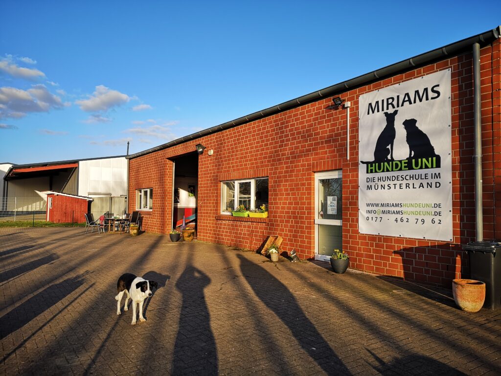 Trainingsgelände von Miriams Hunde Uni nahe Stadtlohn und Vreden